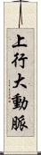 上行大動脈 Scroll