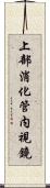 上部消化管内視鏡 Scroll
