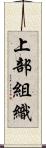 上部組織 Scroll