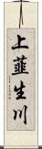 上韮生川 Scroll