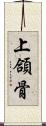 上頜骨 Scroll