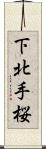 下北手桜 Scroll