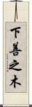 下善之木 Scroll