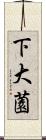 下大薗 Scroll