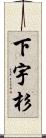 下宇杉 Scroll