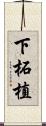 下柘植 Scroll