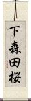 下森田桜 Scroll