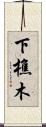下樵木 Scroll
