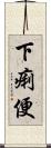 下痢便 Scroll