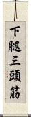 下腿三頭筋 Scroll