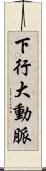 下行大動脈 Scroll