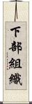 下部組織 Scroll