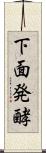 下面発酵 Scroll