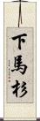 下馬杉 Scroll