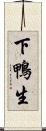 下鴨生 Scroll