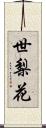 世梨花 Scroll