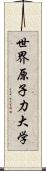 世界原子力大学 Scroll