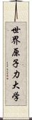 世界原子力大学 Scroll