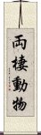 両棲動物 Scroll