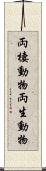 両棲動物 Scroll