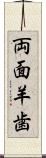 両面羊歯 Scroll