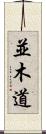 並木道 Scroll