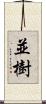 並樹 Scroll