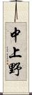 中上野 Scroll