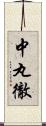 中丸徹 Scroll