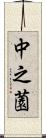 中之薗 Scroll