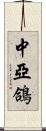 中亞鴿 Scroll