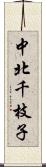 中北千枝子 Scroll