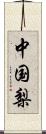 中国梨 Scroll