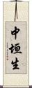 中垣生 Scroll