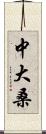 中大桑 Scroll