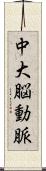 中大脳動脈 Scroll