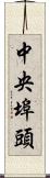 中央埠頭 Scroll