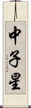 中子星 Scroll