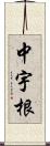 中宇根 Scroll