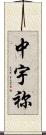 中宇祢 Scroll
