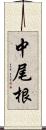 中尾根 Scroll