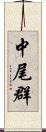 中尾群 Scroll