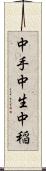 中手 Scroll