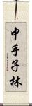 中手子林 Scroll