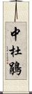 中杜鵑 Scroll