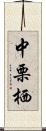 中栗栖 Scroll