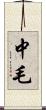 中毛 Scroll
