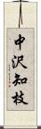 中沢知枝 Scroll