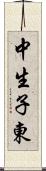 中生子東 Scroll