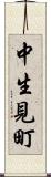 中生見町 Scroll